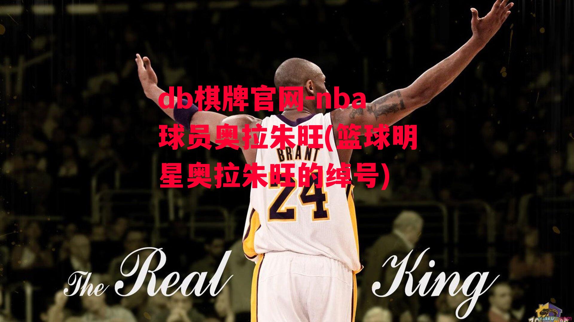 nba球员奥拉朱旺(篮球明星奥拉朱旺的绰号)